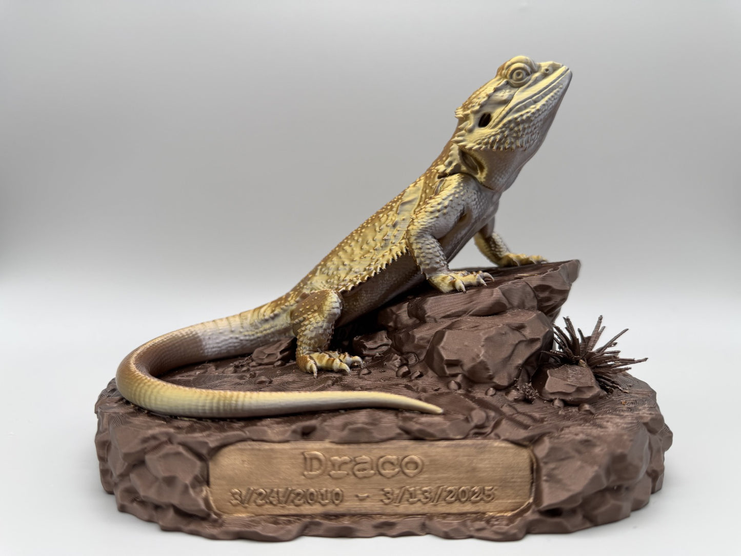 draco_memorial.jpg